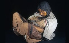 venus Inca mummy